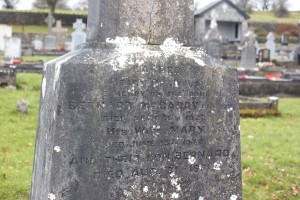 McGarry Bernard Lisduff 2